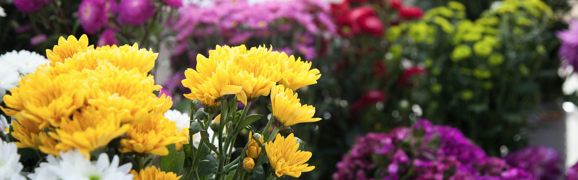 the flower booth