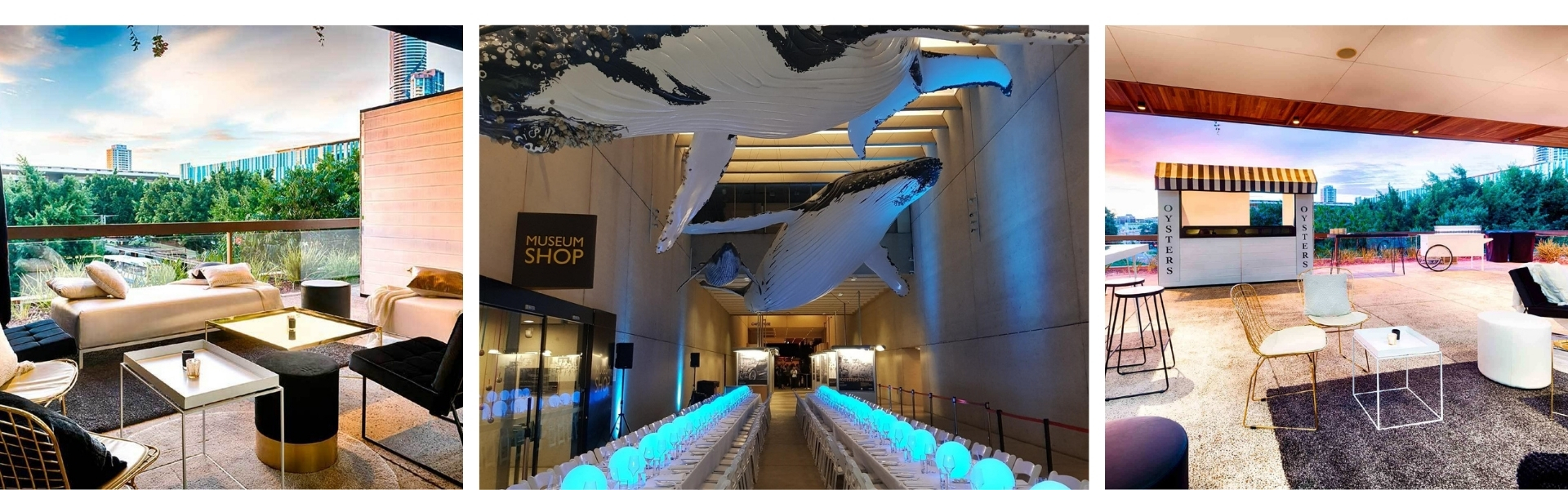 The Fresh Collective: Queensland Museum SupplierHero Wedding Venues