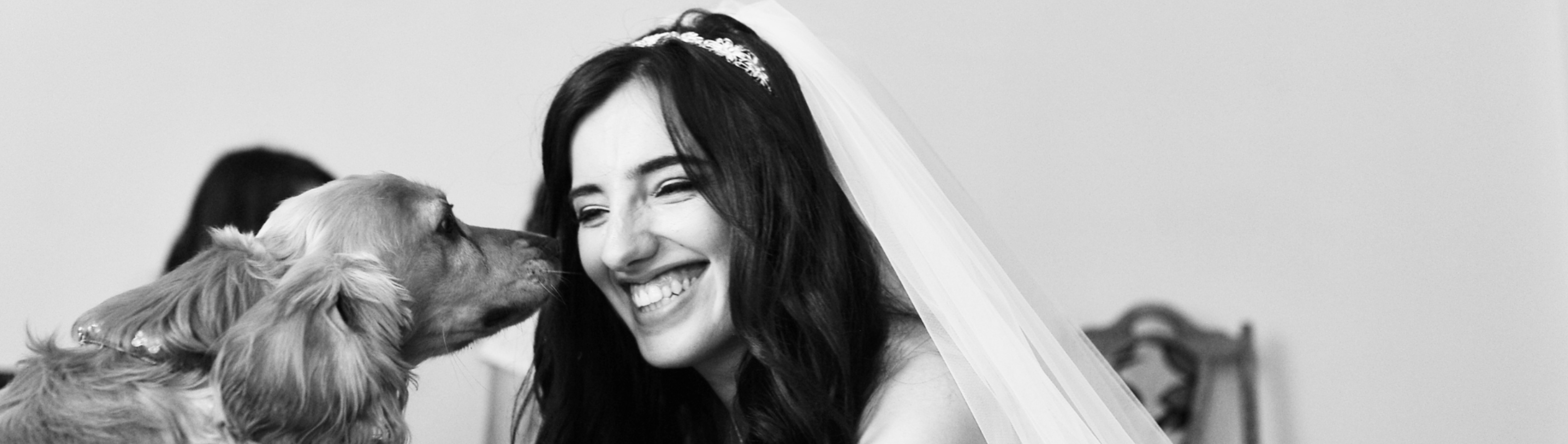 The Poochie Mumma SupplierHero Wedding Services