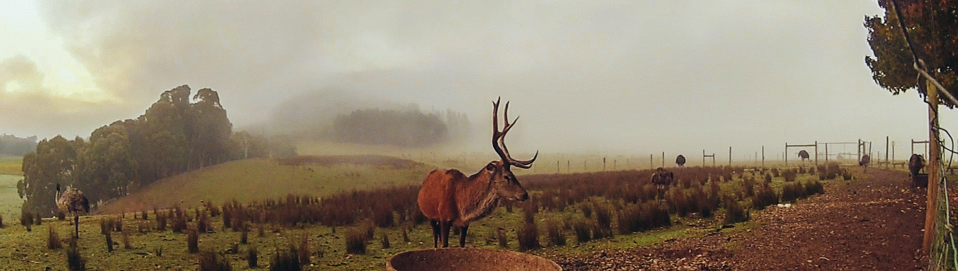 The Red Stag Restaurant SupplierHero Wedding Venues