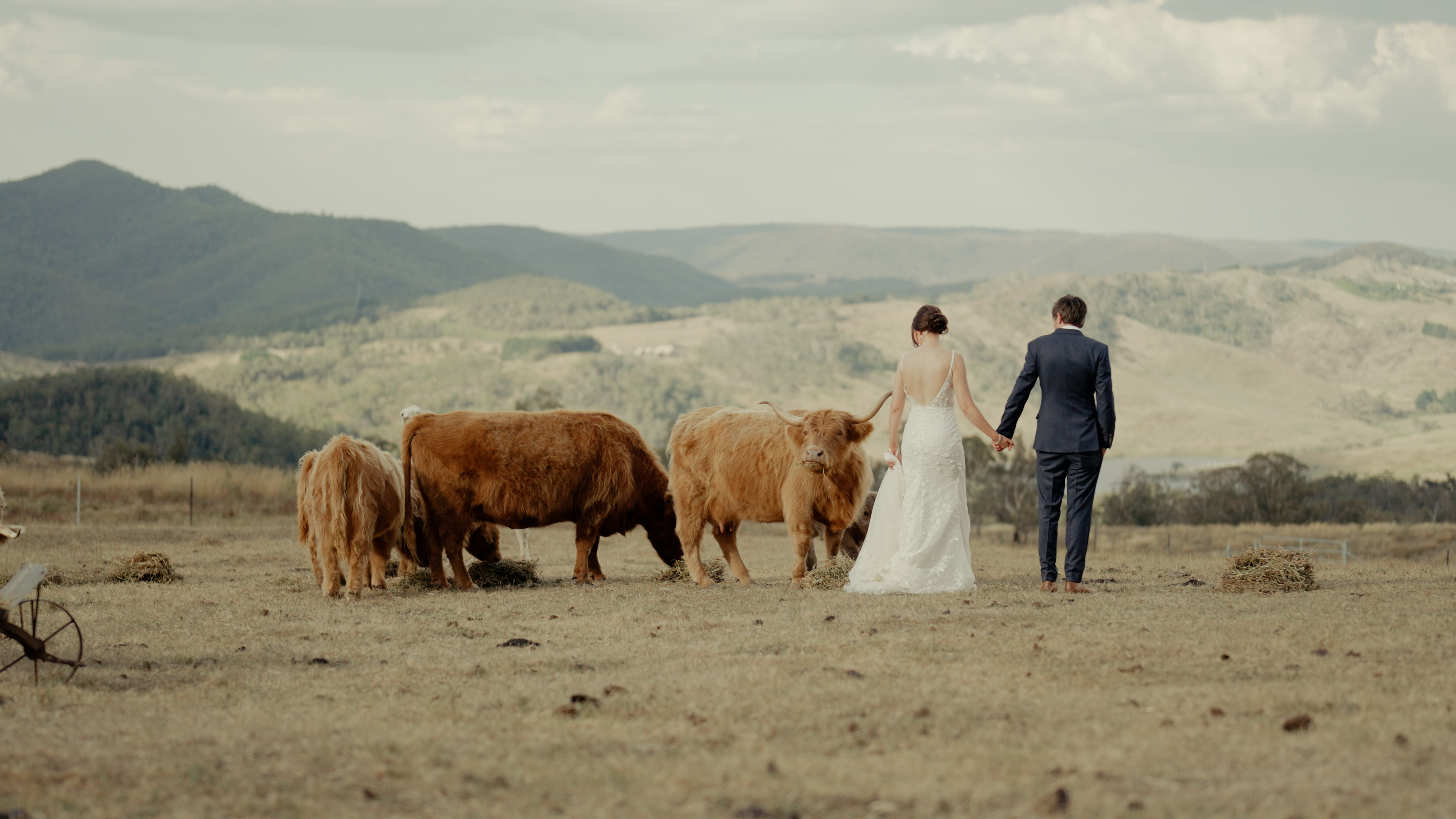 Timeless Ivory Wedding Films SupplierHero Wedding Videography