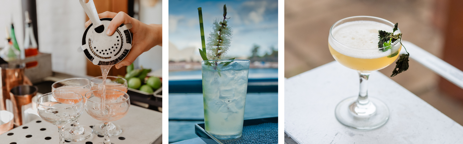 Trolley’d SupplierHero Hens Nights and Bucks Parties