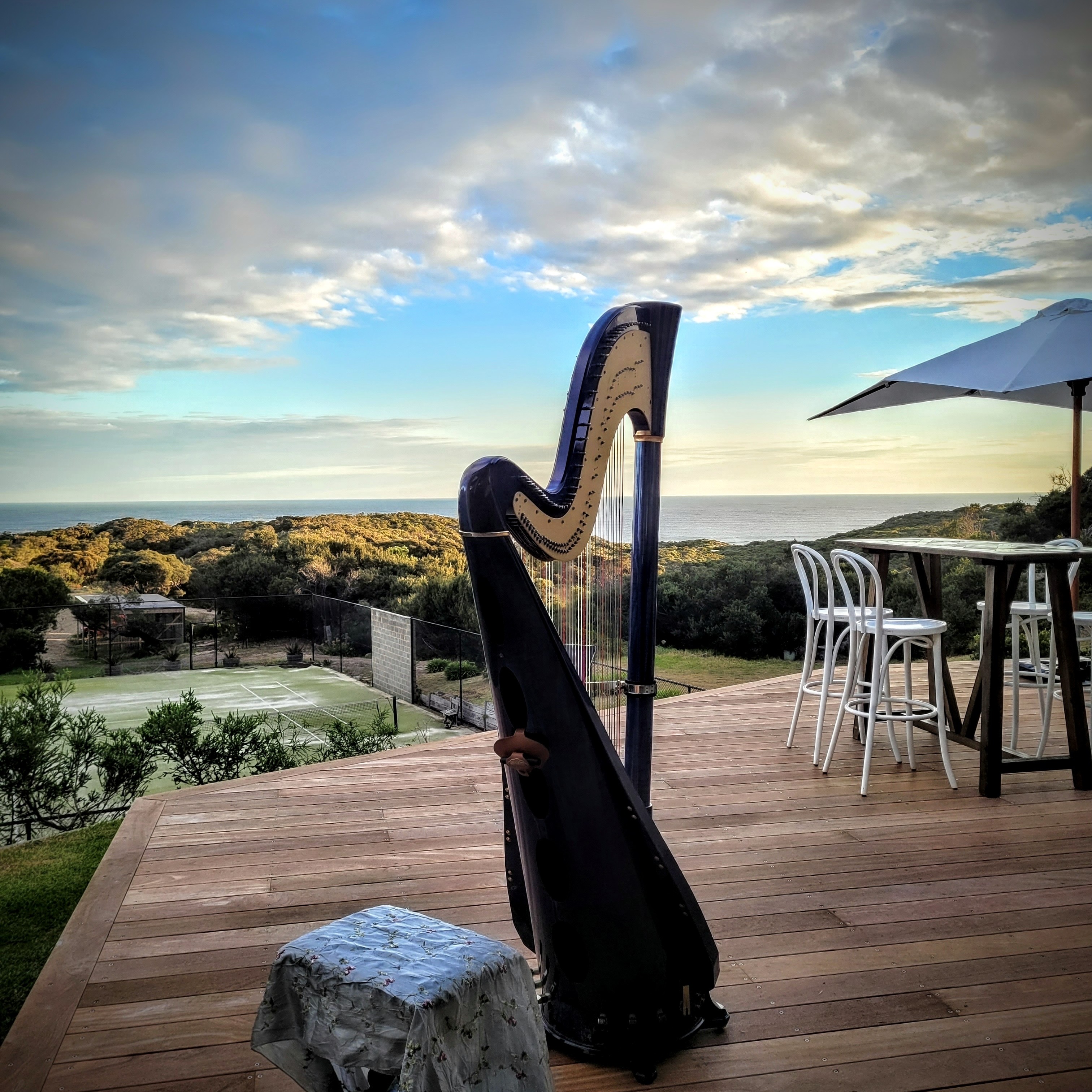 Vanessa McKeand (harpist) and MV2 (violin and harp) SupplierHero Wedding Music