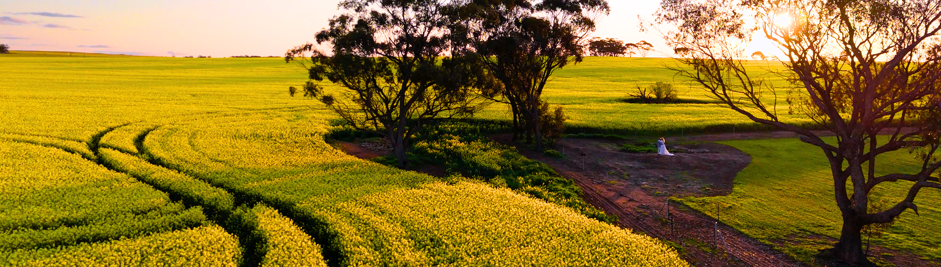 Watson Filmworks SupplierHero Wedding Videography