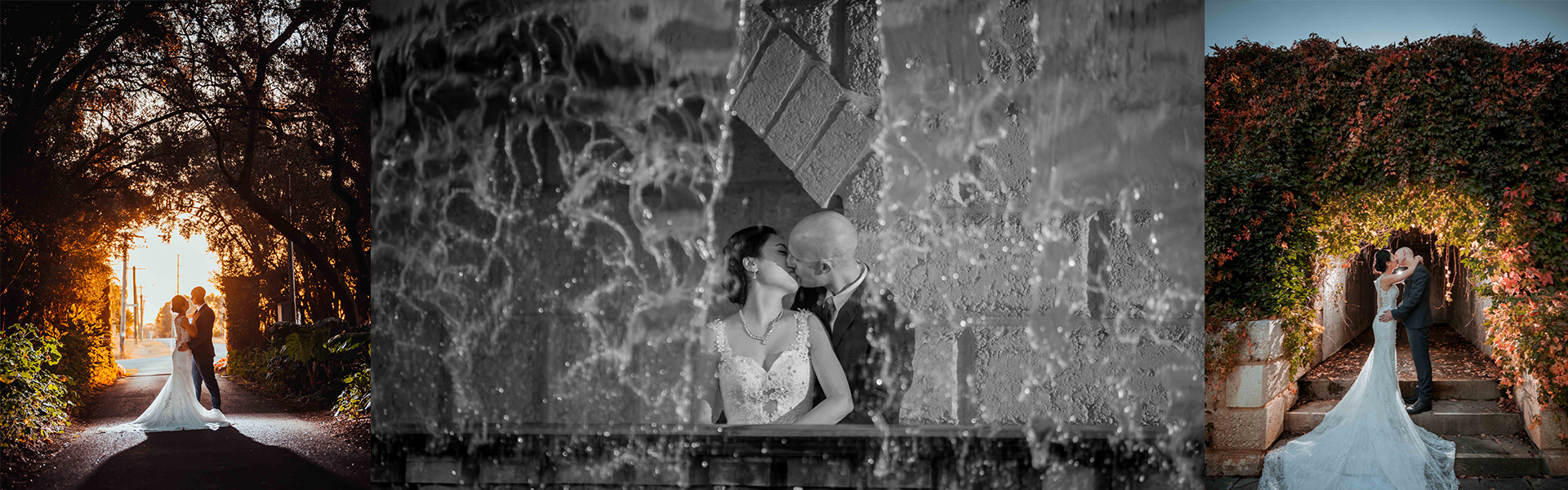 wedding photo banner