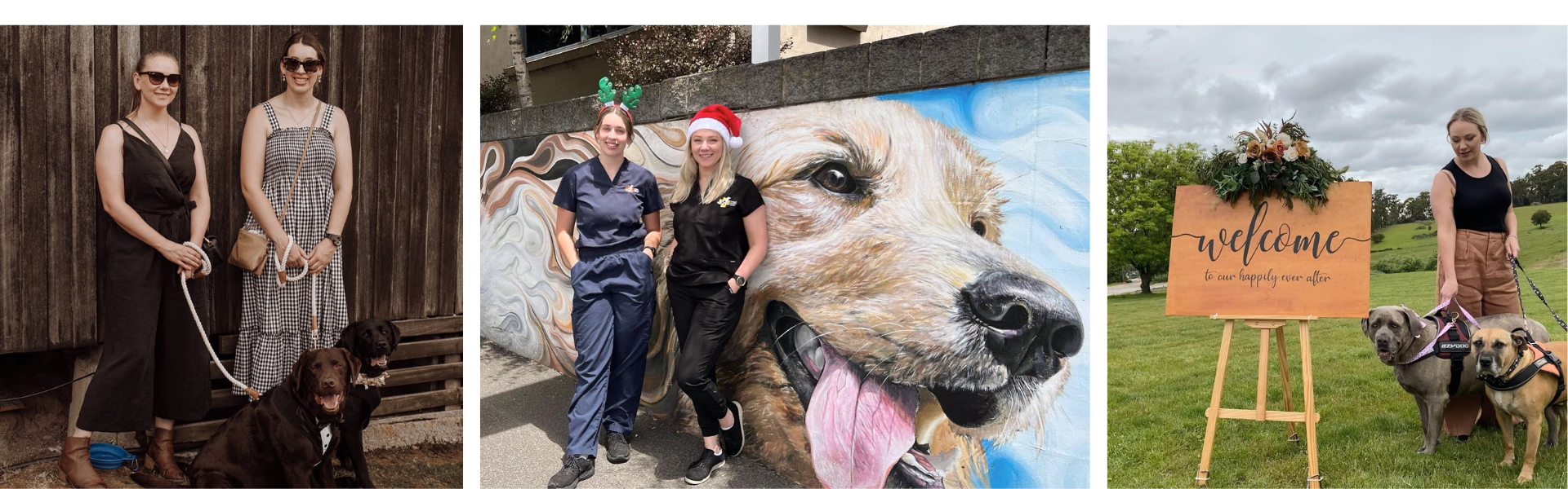 Wedding Tails Tasmania SupplierHero Wedding Services