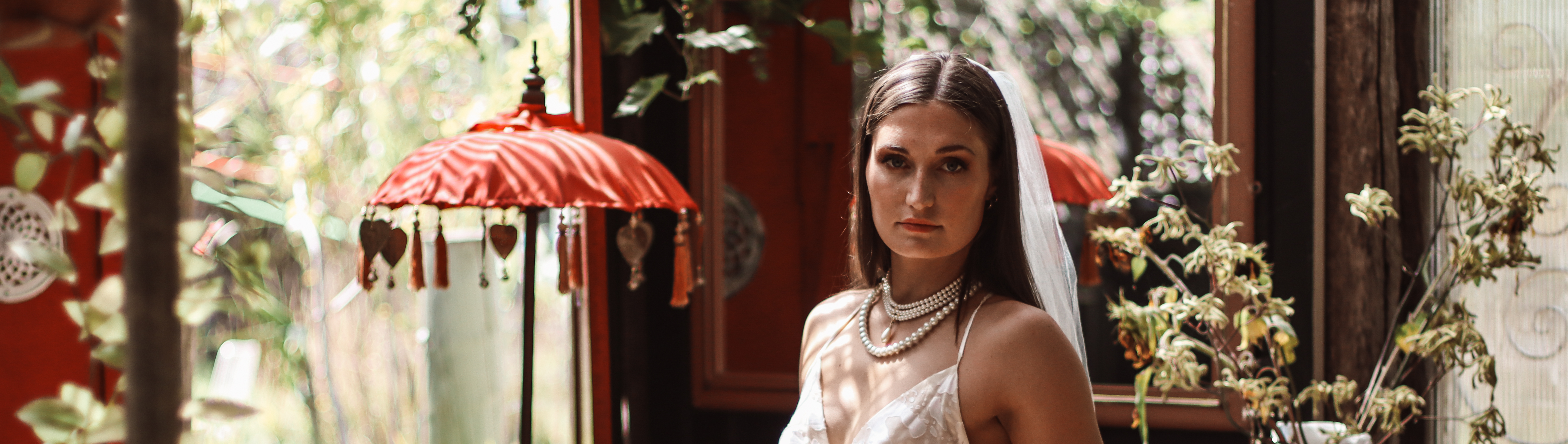 WILD MISTY MOUNTAIN SupplierHero Wedding Venues