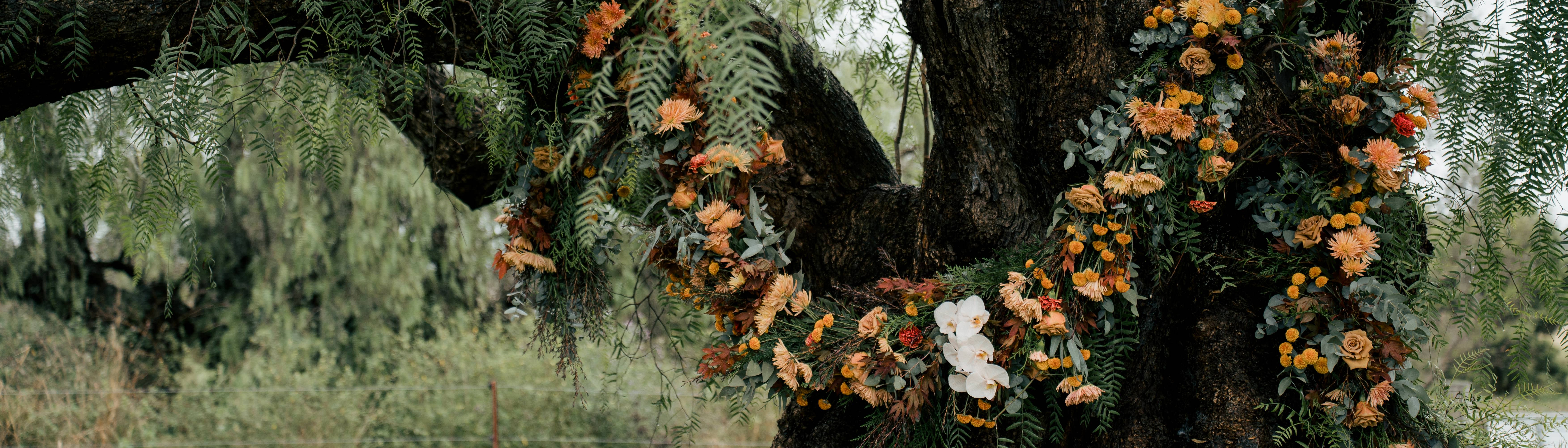 Will & Wild SupplierHero Wedding Flowers