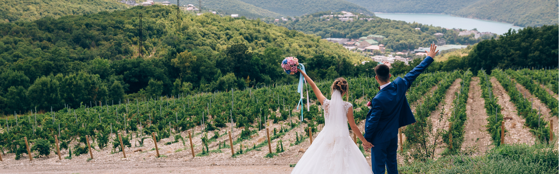 All Occasions Wedding Services 