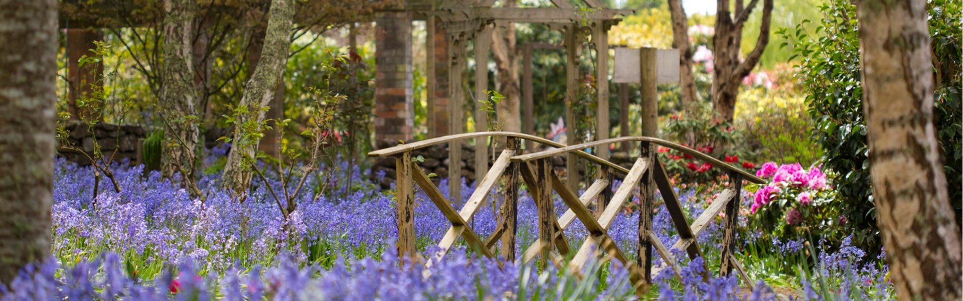 Annsleigh Gardens 