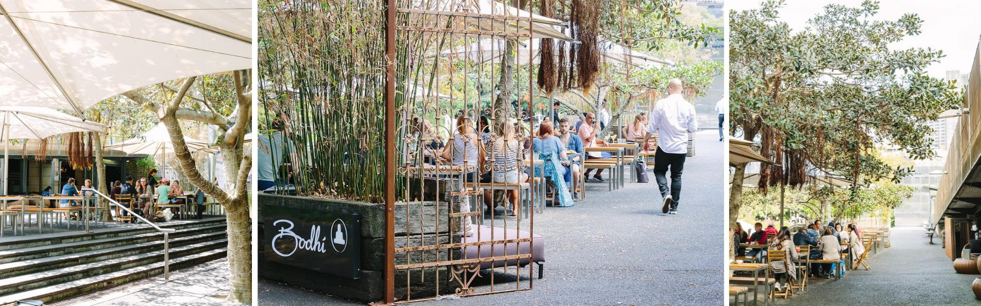 Bodhi Restaurant & Bar