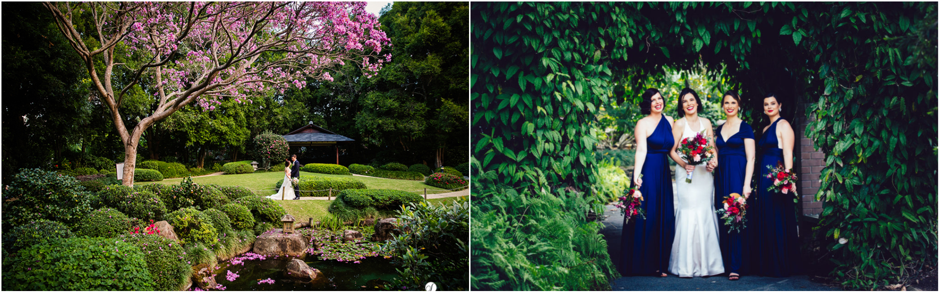 Brisbane Botanic Gardens, Mount Coot-tha
