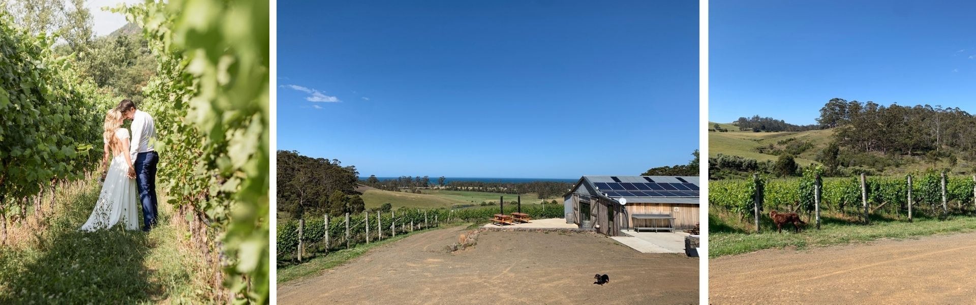 Cape Bernier wedding venue Hobart