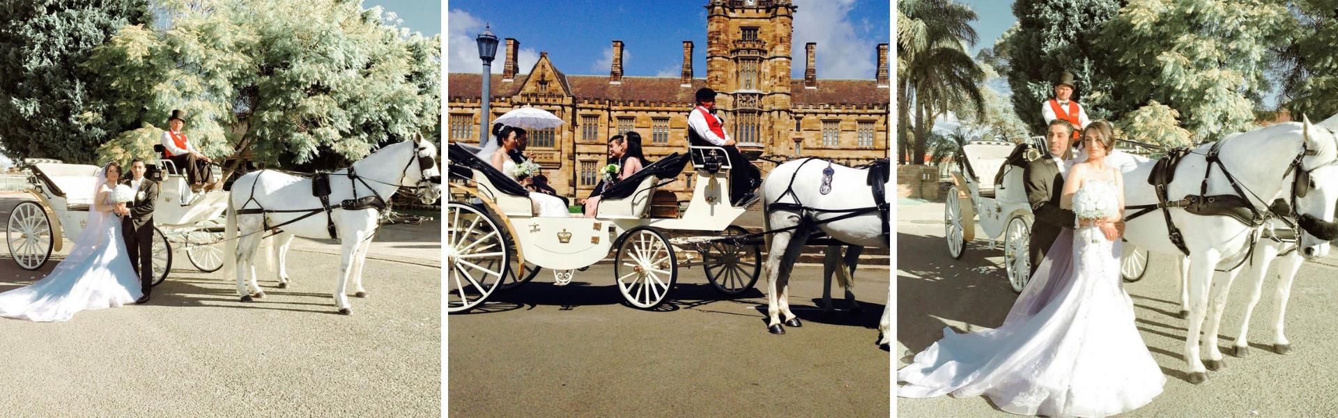 Castlecrest Wedding Carriages