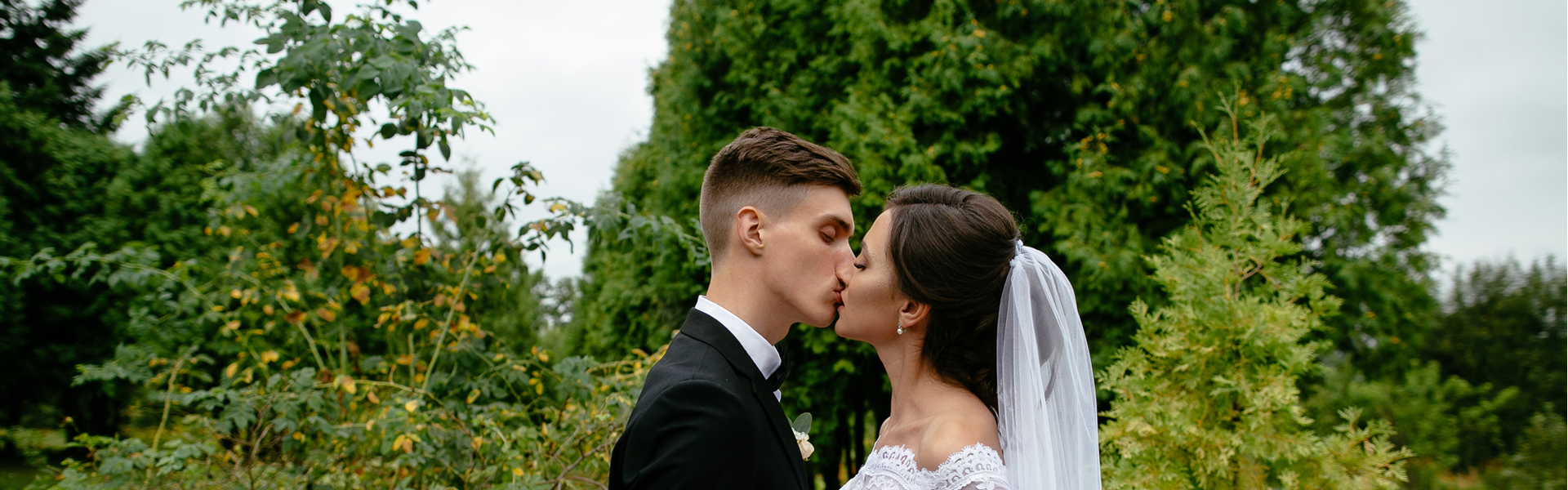 Celebrations by David