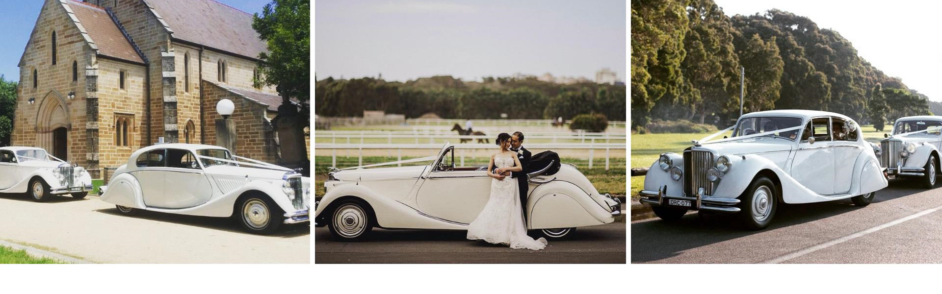 Darling Rose Classics