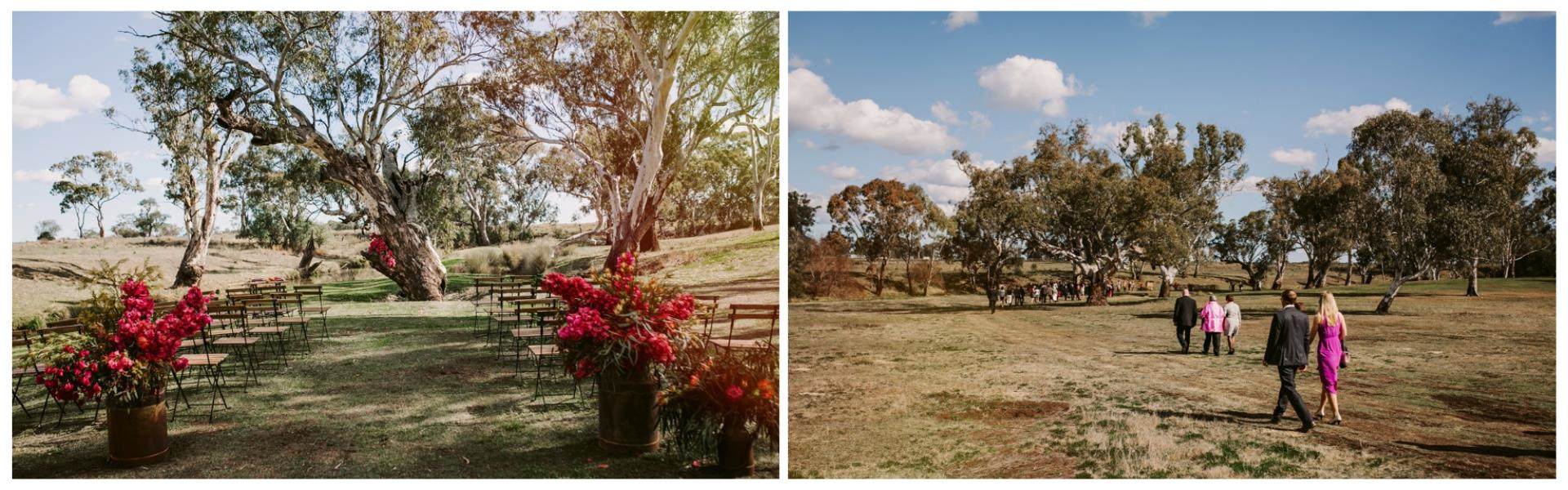 Edwina Robertson Photography