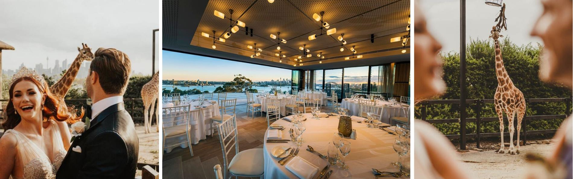 Epicure at Taronga Zoo