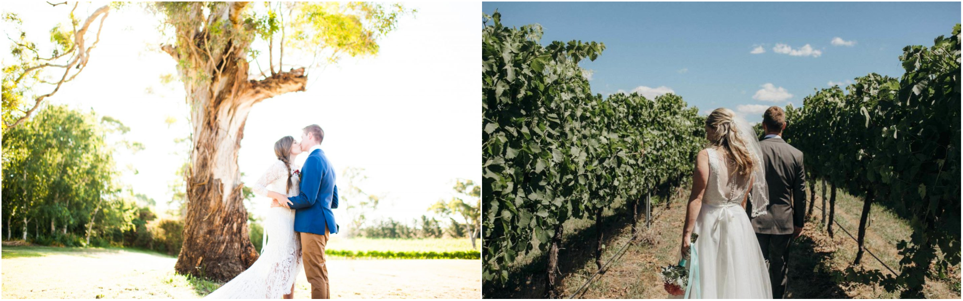 Four Winds Vineyard