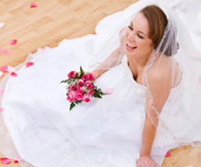 Freeze Dried Rose Petals