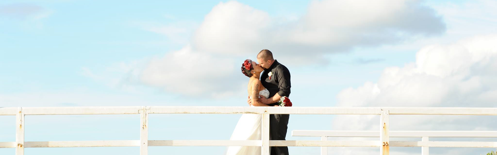 Lisa Angus Photography
