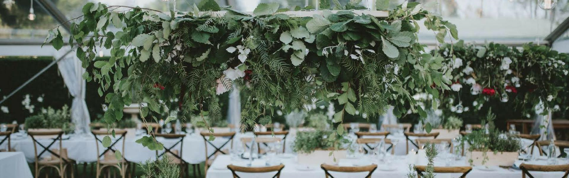 Marquee Monkeys Event Hire