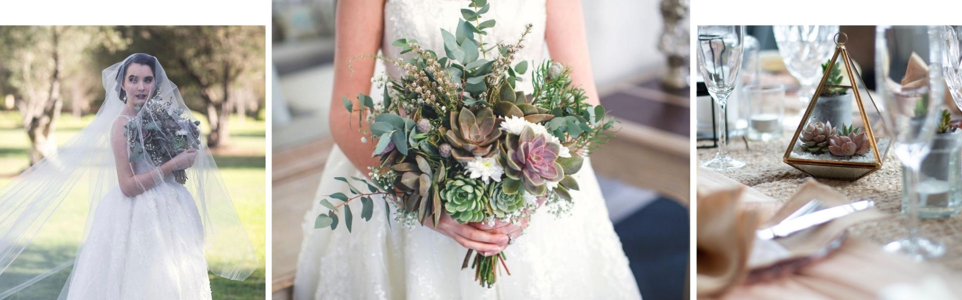 Miller Rose Botanic Perth