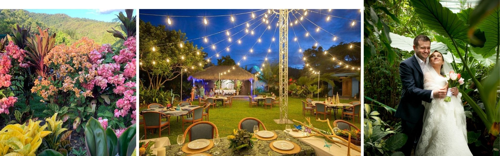 Mulgrave Gardens is a tropical wedding venue in QLD, near Cairns 