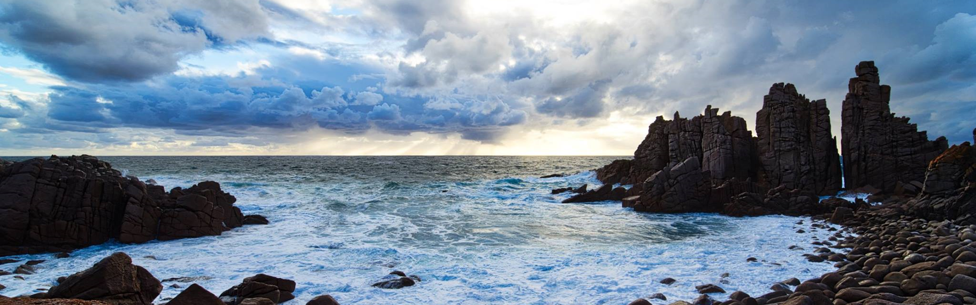 Niki Rogalski Photography