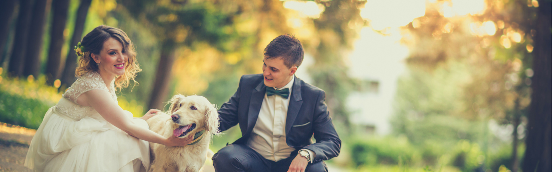 Paw Walk And Mind CO.