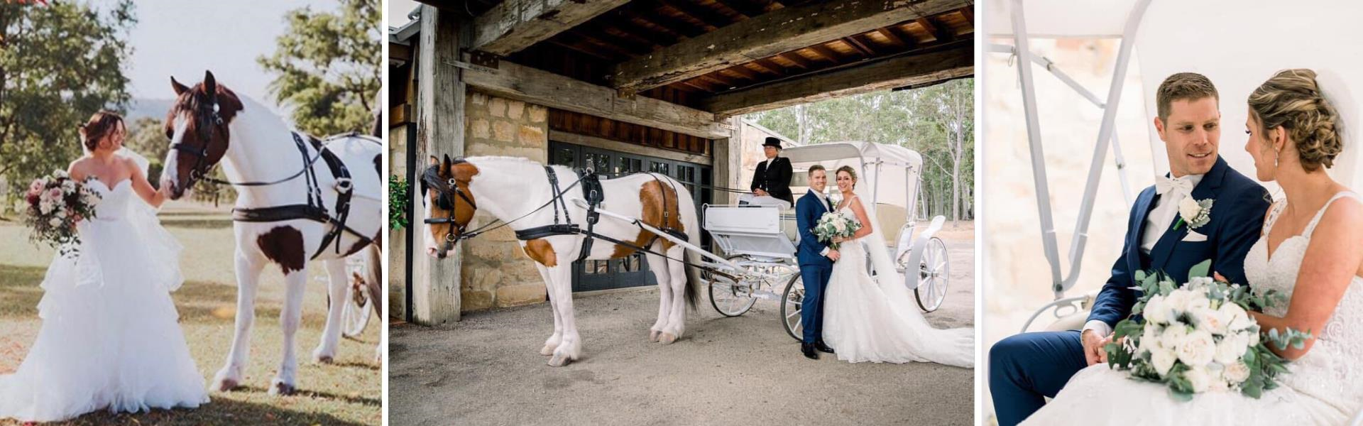 Prestige Horse Carriages