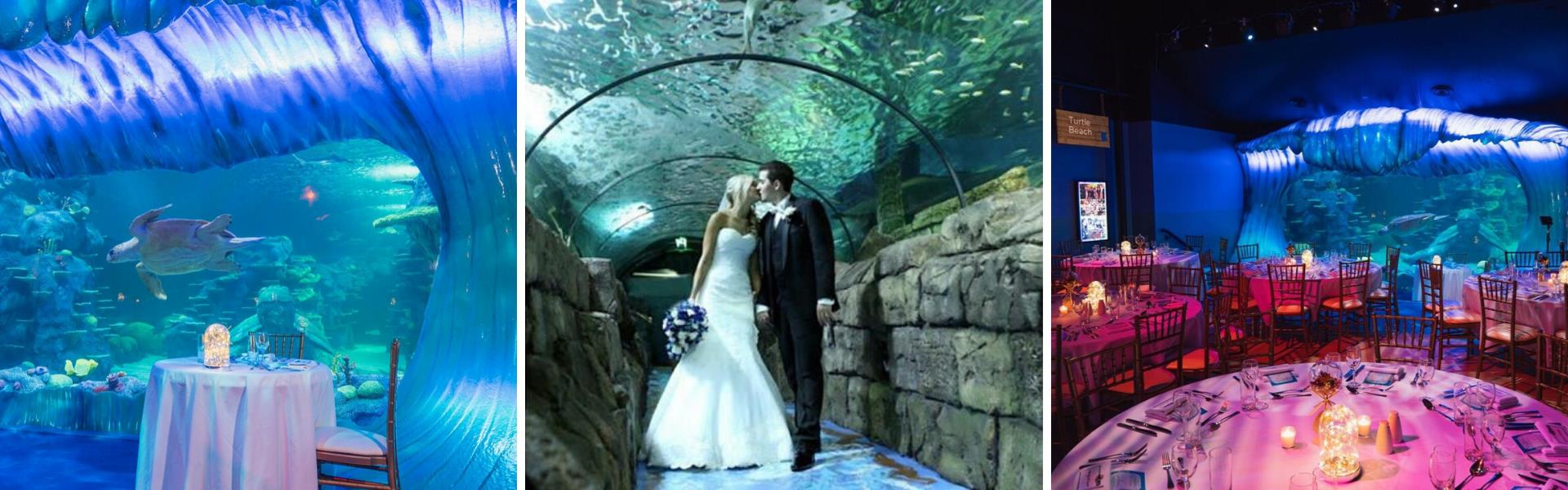 SEA LIFE Sydney Aquarium 