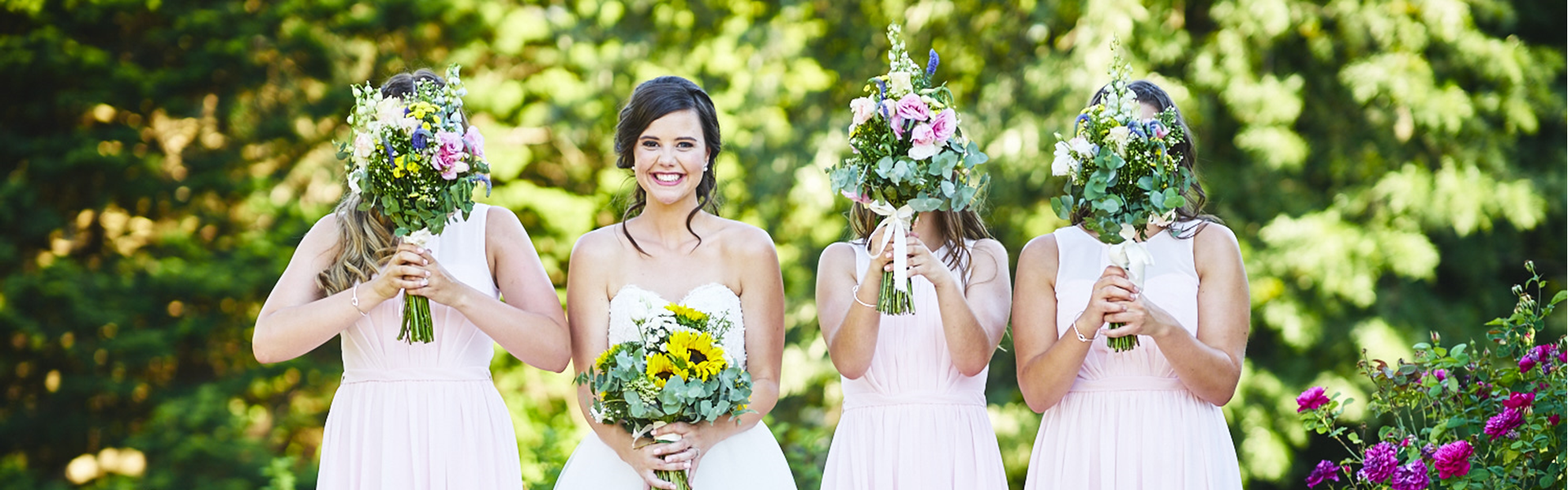 Simon Wicks Photography 