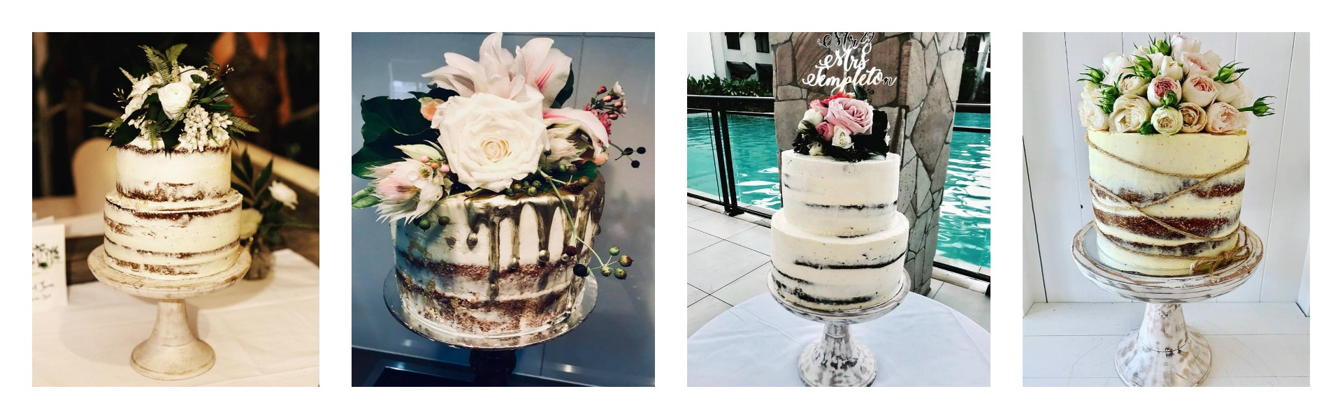 The Hungry Hummingbird