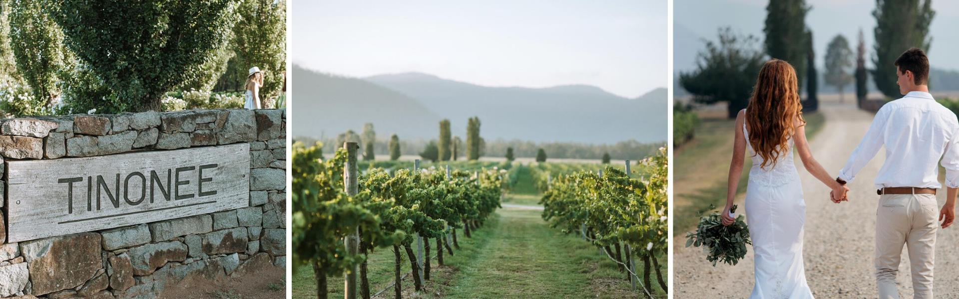 Tinonee Vineyard Estate 