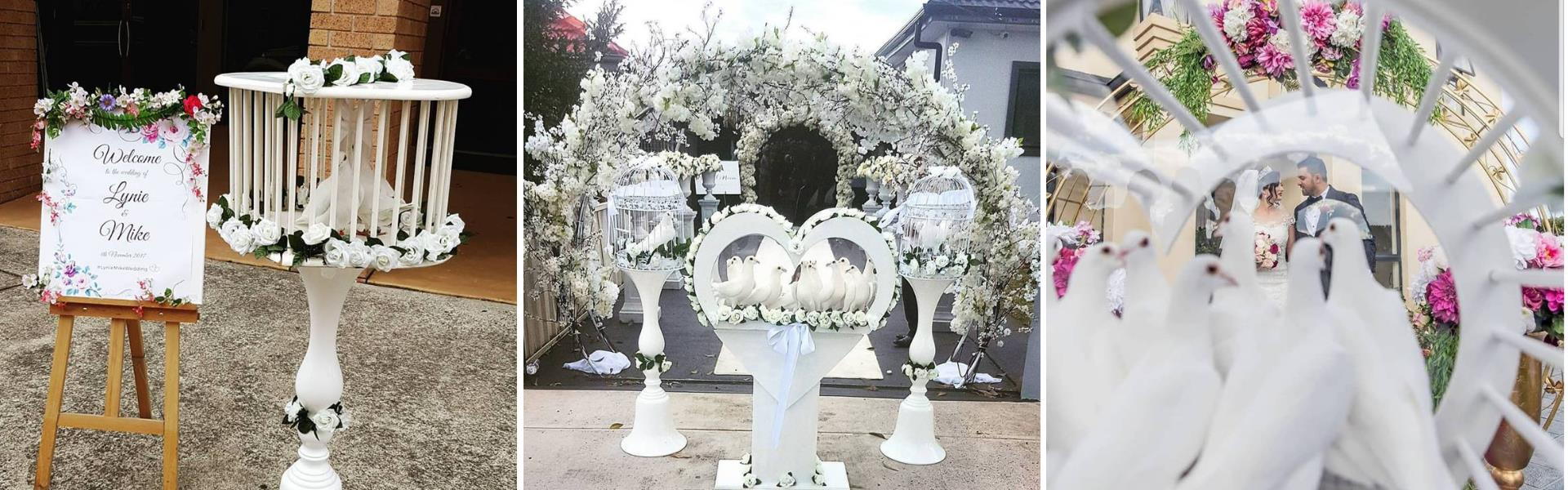 White Dove Releases by Mel 