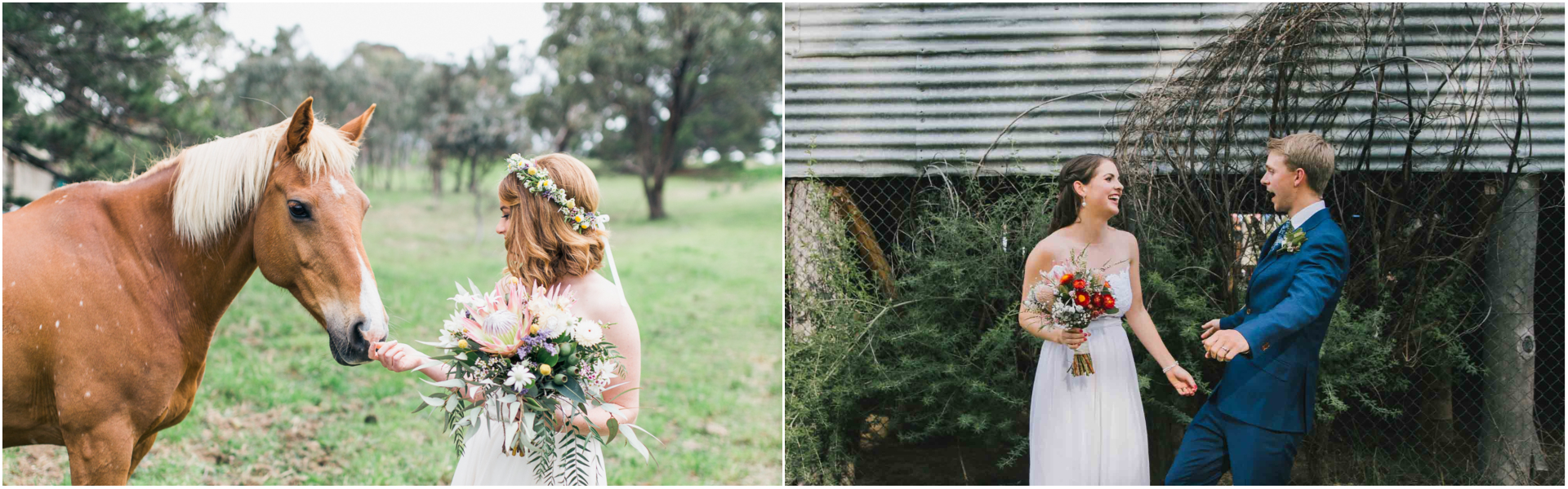 Yarralumla Woolshed