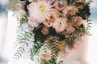 Debbie O'neill Freelance Designs