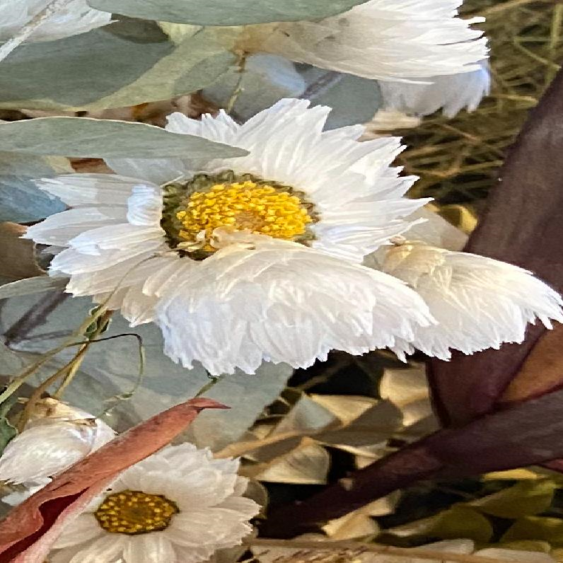 Wendy H.