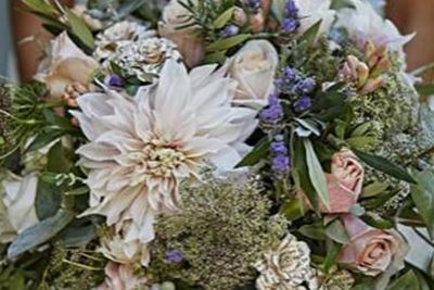 Debbie O'neill Freelance Designs