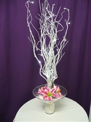 Wedding Decorations-Dazzling Decor Hire