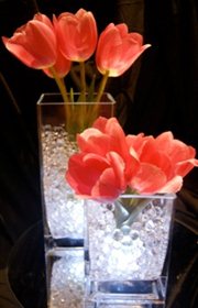 Wedding Decorations-Elegant Occasions