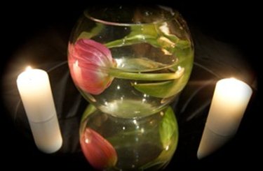 Wedding Decorations-Elegant Occasions