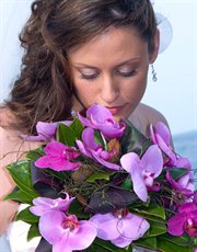 Wedding Flowers By Renee Wedding Flowers Hornsby Easy Weddings