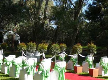 Wedding Decorations-Outdoor Ceremonies and Events